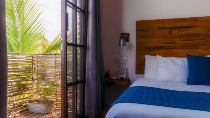Baja House Ξενοδοχείο Todos Santos Εξωτερικό φωτογραφία