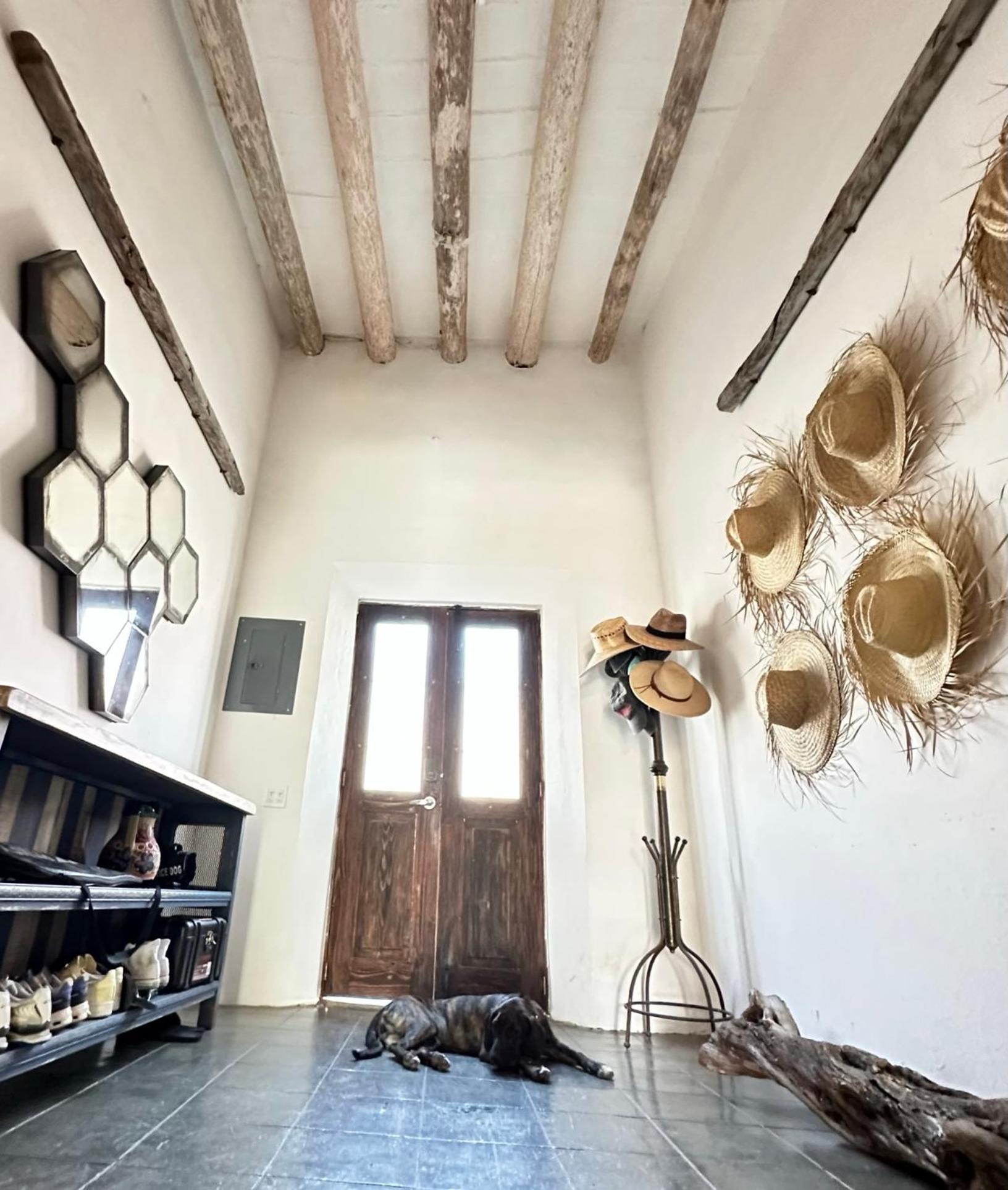 Baja House Ξενοδοχείο Todos Santos Εξωτερικό φωτογραφία