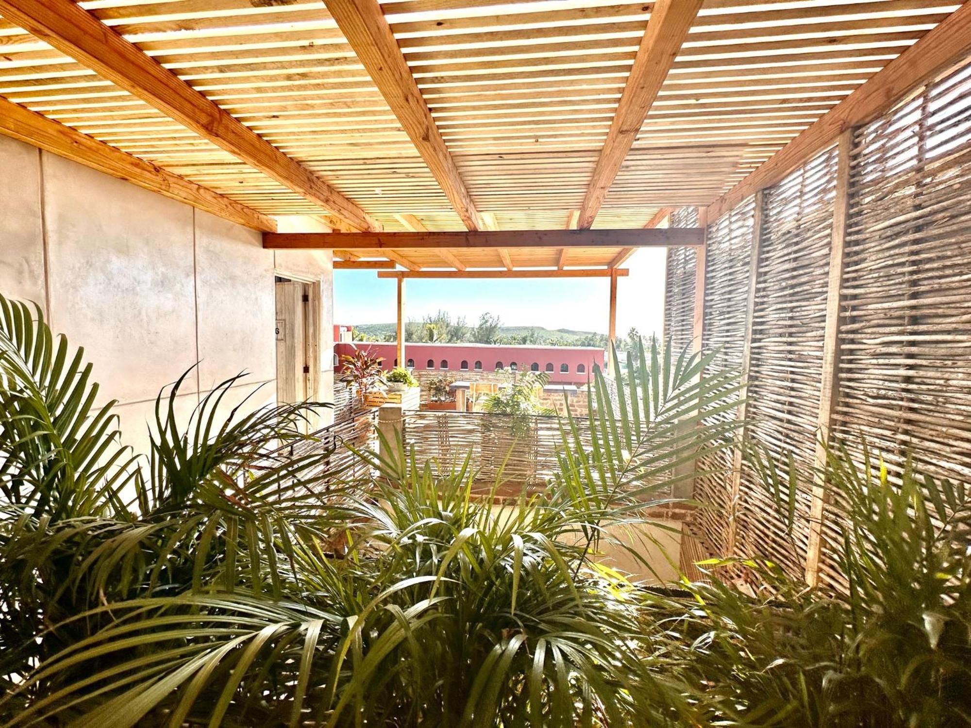 Baja House Ξενοδοχείο Todos Santos Εξωτερικό φωτογραφία
