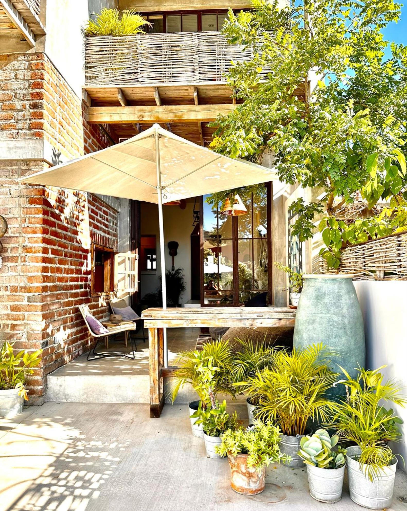 Baja House Ξενοδοχείο Todos Santos Εξωτερικό φωτογραφία